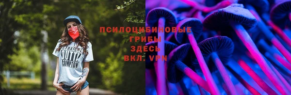 apvp Корсаков
